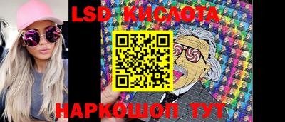 индика Кандалакша