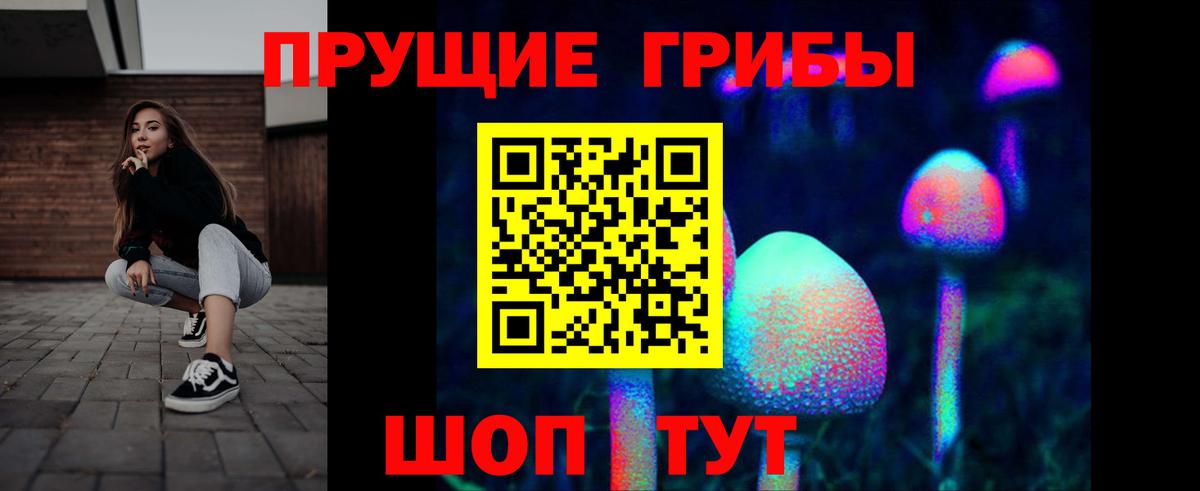 Псилоцибиновые грибы GOLDEN TEACHER  Вход с VPN  Красный Сулин 